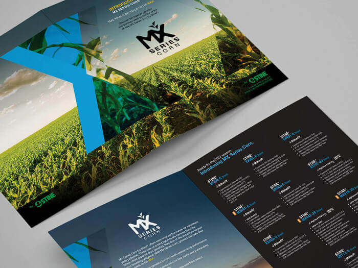 Corn Yields to the MAX!